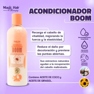 Acondicionador reparación (boom)