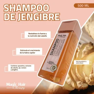 SHAMPOO CON JENGIBRE