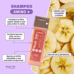 SHAMPOO AMINO +